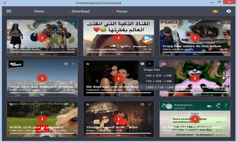 Free Instagram Downloader Screenshot
